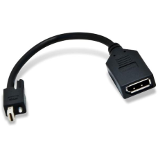 ADAPTADOR PNY MINI DISPLAY A DISPLAY PORT