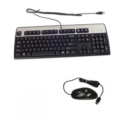 KIT TECLADO MOUSE HO USB P/N 631341-B21