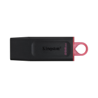PENDRIVE KINGSTON 256GB USB 3.2 GEN 1 DATATRAVELER